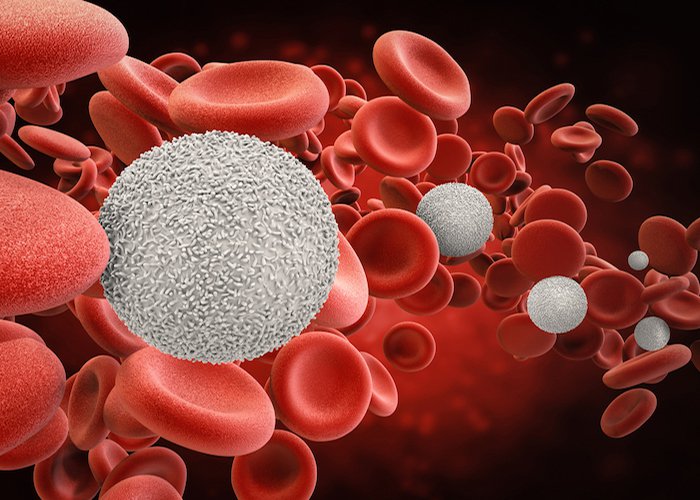 Phương pháp được đánh giá có hiệu quả nhất là ghép tế bào gốc tạo máu đồng loại